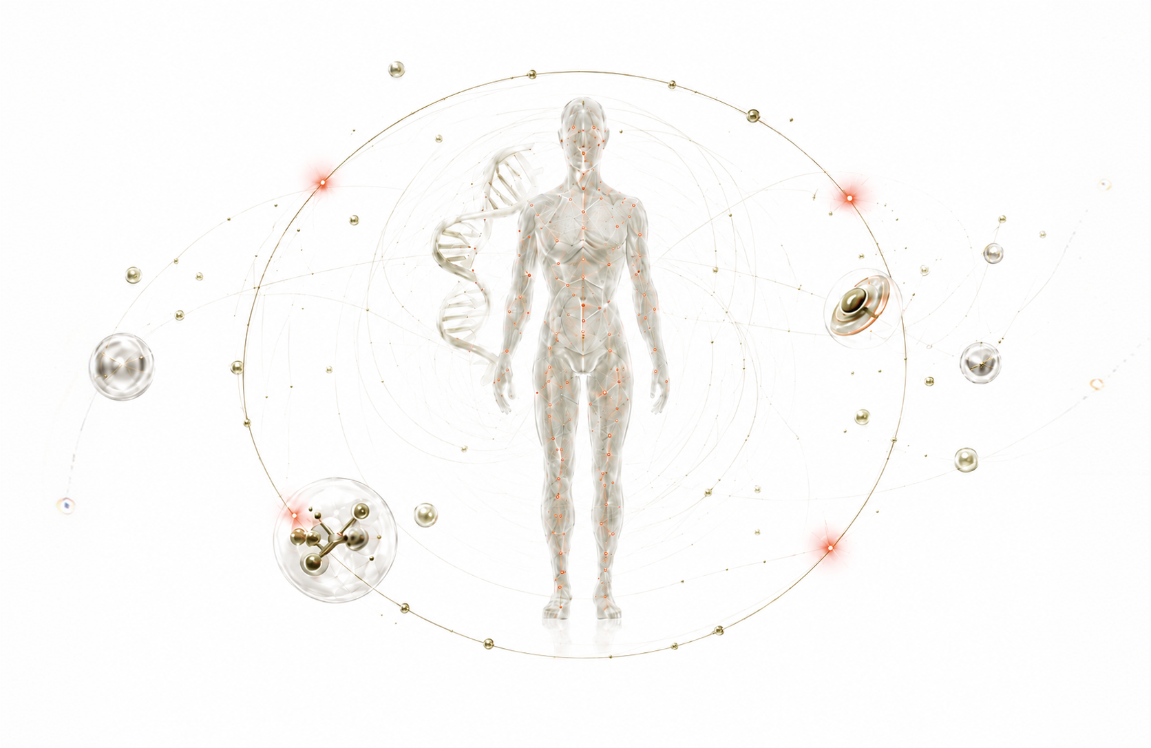 A translucent human model surrounded by interconnected biological signals.