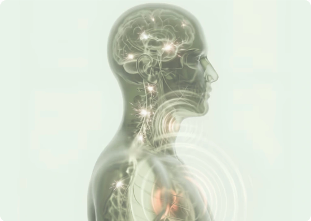 An illustrative translucent human profile with biological connections